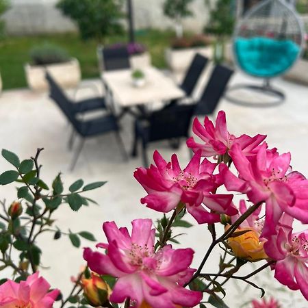 Sunny Hill - Parking - Fenced Garden - Luxury Loft Apartment Kotor Ngoại thất bức ảnh